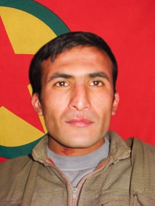 20251107-image-20251107070627-3-jpegacb592-image