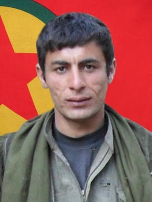 20251107-image-20251107070627-6-jpeg3e29d4-image