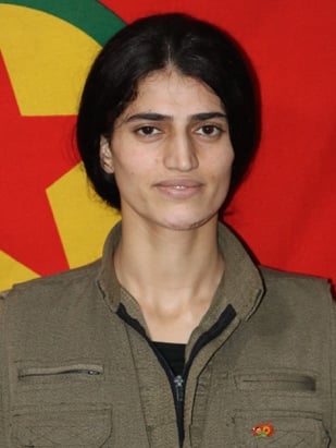 20251110-image-20251110064351-3-jpegc6beaa-image