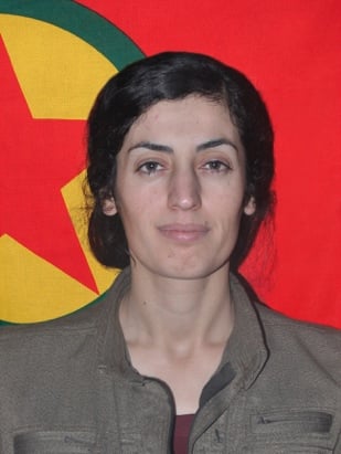 20251114-image-20251114070430-1-jpeg4970b3-image