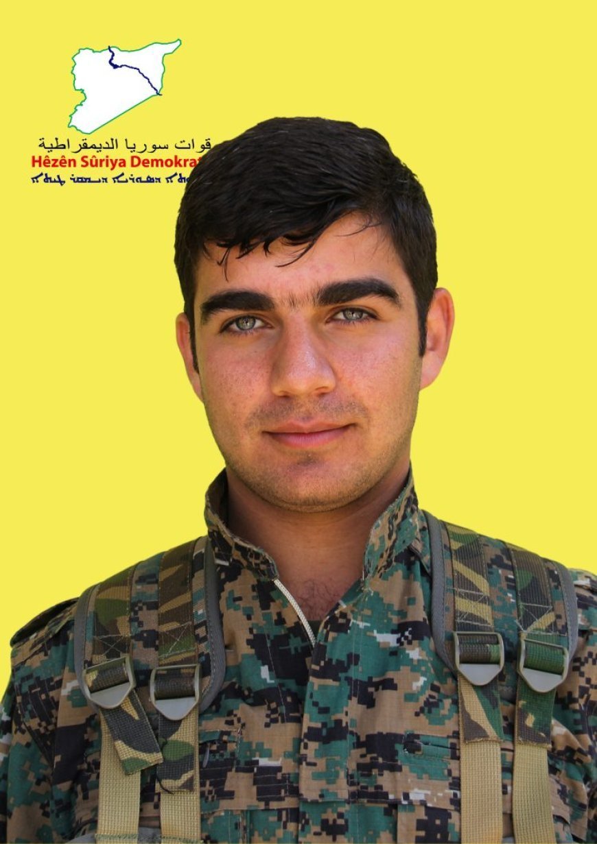 20251115-image-870x-691847c7d0303-jpg8e74d7-image