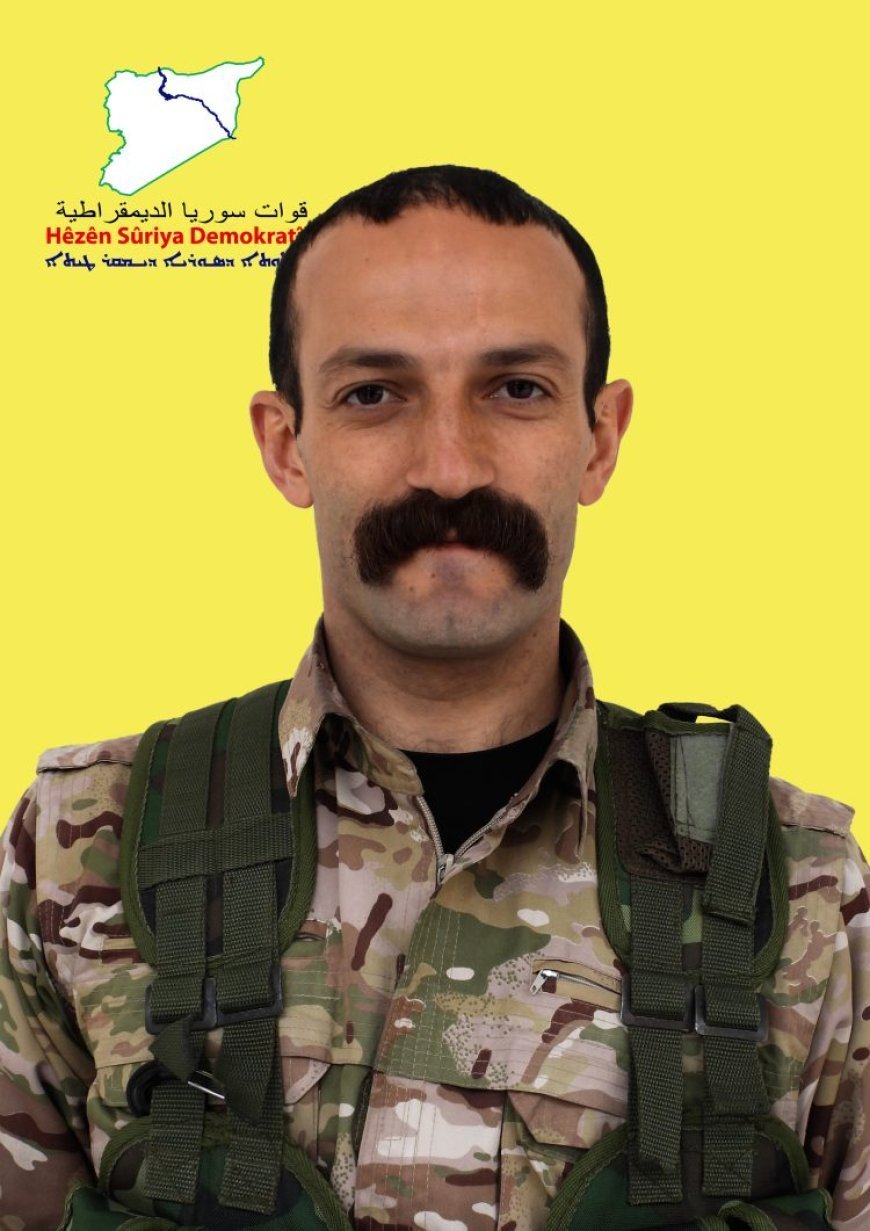 20251115-image-870x-691847c8abbc6-jpgd60ffa-image