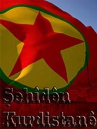 20251117-image-20251117075300-4-jpegd3facc-image