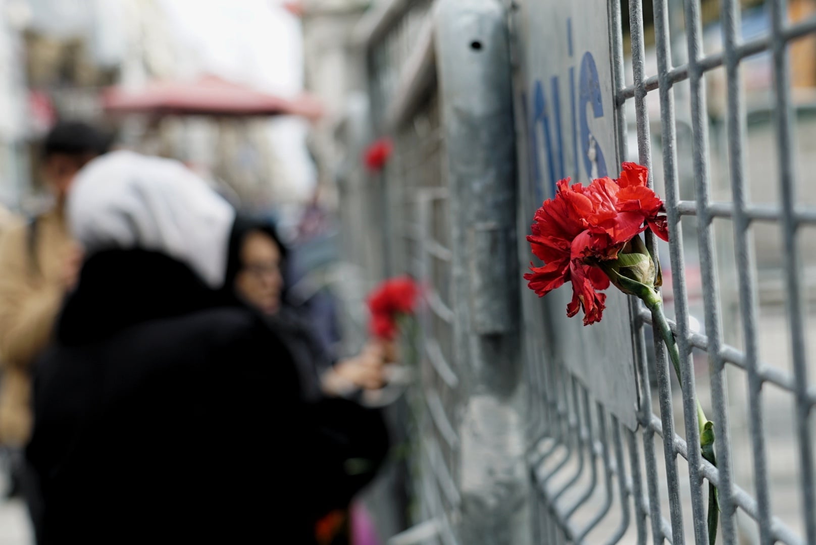 20260131-1000098244-jpg7447c6-image